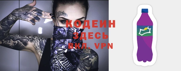 дмт Корсаков