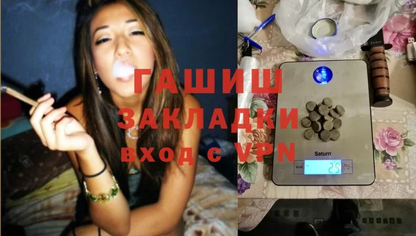 крисы Коряжма