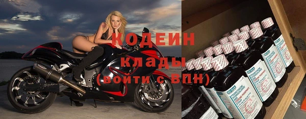крисы Коряжма