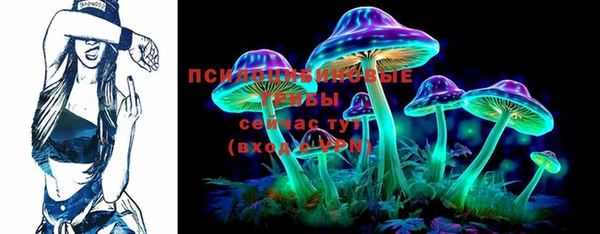 крисы Коряжма