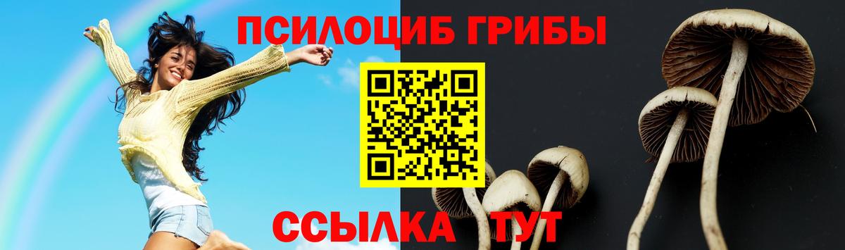 Благодарный  Псилоцибиновые грибы мухоморы  Вход с VPN 