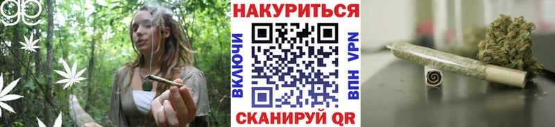 Бошки марихуана сатива  Благодарный 